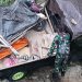 Sebuah mobil pikap terjun ke jurang di Desa Olele, Kecamatan Tilongkabila, Bone Bolango lantaran sopir diduga mengantuk. (istimewa)