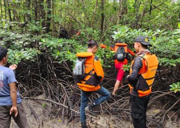 Petugas Basarnas Gorontalo melakukan pencarian terhadap korban di hutan bakau, Jumat (3/2/2023) (istimewa)