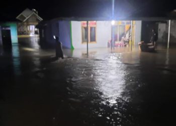 Sejumlah rumah warga yang terendam banjir di Kecamatan Biau, Kabupaten Gorontalo Utara, Selasa (14/2/2024). (foto.istimewa)