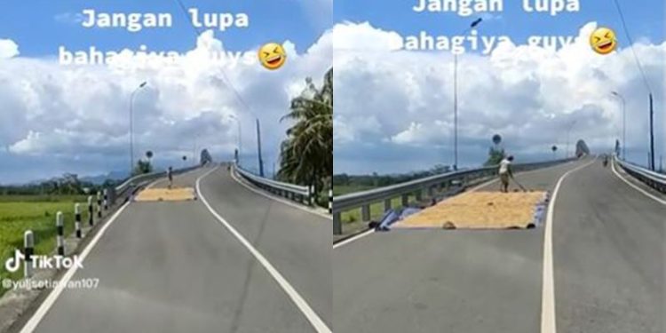 Foto: TikTok/@yulisetiawan107