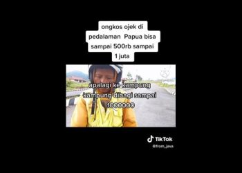 Foto: Tangkapan Layar TikTok @from_java