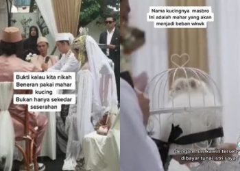 Foto: TikTok/@horeamisme