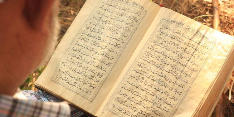 Ilustrasi membaca Alquran (Gambar oleh alihaydargulec0 dari Pixabay)