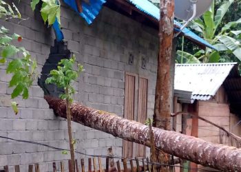 Rumah milik Yusuf Hasan di Desa Muara Bone, Kecamatan Bone, Kabupaten Bone Bolango, mengalami kerusakan akibat tertimpa pohon tumbang.(istimewa)