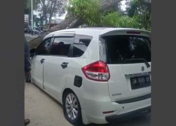 Pohon tumbang di JDS