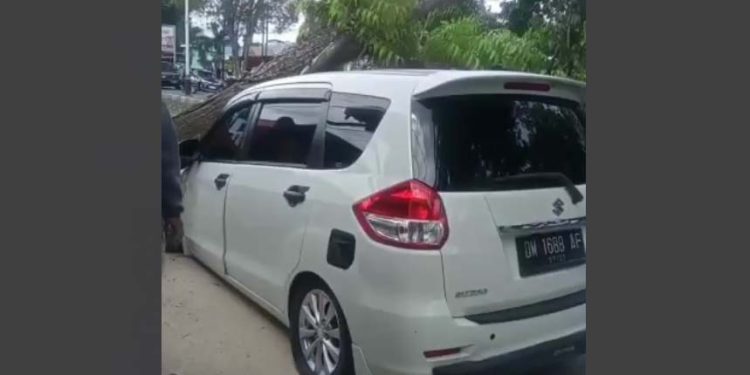 Pohon tumbang di JDS