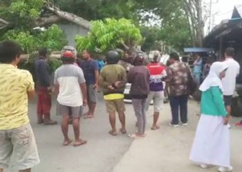 Cuaca buruk di Wilayah Gorontalo menyebabkan sebuah pohon tumbang dan menimpa sebuah mobil di Jl. Pangeran Hidayat, Kecamatan Kota Tengah, Kota Gorontalo (istimewa)