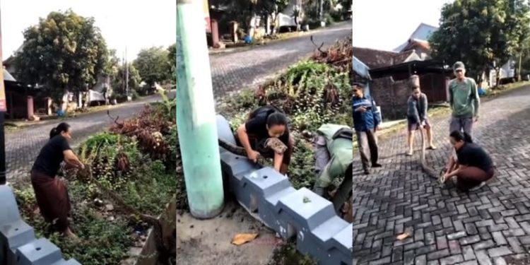 Foto: Tangkapan Layar Instagram @hotmanparis