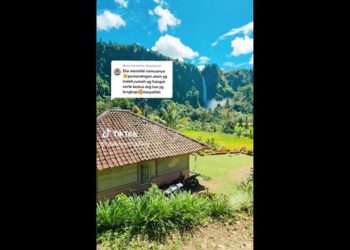 Foto: Tangkapan Layar TikTok @healingwithayang