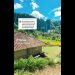 Foto: Tangkapan Layar TikTok @healingwithayang