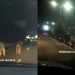 Foto: Tangkapan Layar Instagram @merekamjakarta