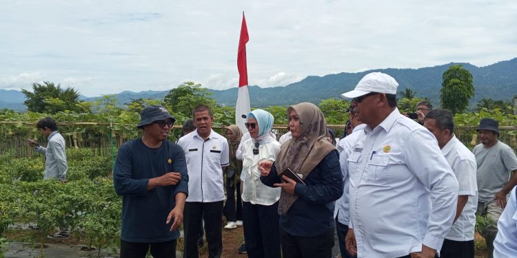 Wabup Merlan S. Uloli bersama Kepala Dinas Ketahanan Pangan dan Pertanian, Yusbar Ismail saat mendampingi Tim Verifikasi Lapangan Anugerah Satya Lancana Wira Karya di Kebun Cabe Al-Hidayah Kecamatan Suwawa Selatan, Rabu (5/4/2023). (Foto Fauzi/Magang Diskominfo)