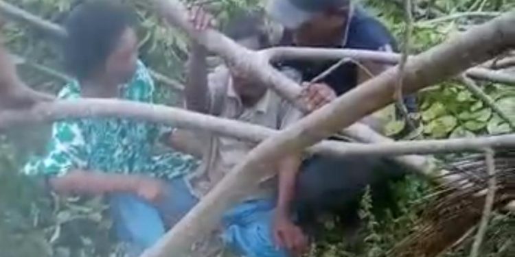 Kondisi korban Pali Koni usai insiden tertimpa pohon. (f. istimewa)