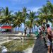 Proses panen udang vaname di Tambak Desa Tolotio, Kecamatan Bonepantai, Selasa (16/5/2023). (Foto Istimewa)