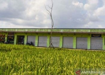 Kemendes PDTT Dorong BUMDes Berstatus Badan Hukum