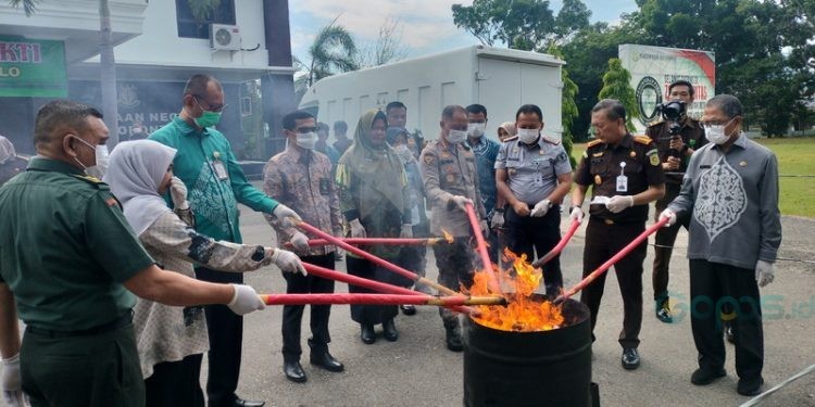 Kejaksaan Negeri Kota Gorontalo melaksanakan pemusnahan 1000 gram ganja hingga 1000 liter miras di 62 kasus yang telah ditetapkan berkekuatan hukum tetap, Kamis (22/6/2023). (F: Putra/Gopos)