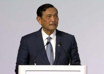 Menko Kemaritiman dan Investasi Luhut Binsar Pandjaitan selaku pengarah delegasi Indonesia dalam negosiasi perjanjian BBNJ. (ANTARA/HO Kemenko Kemaritiman dan Investasi)