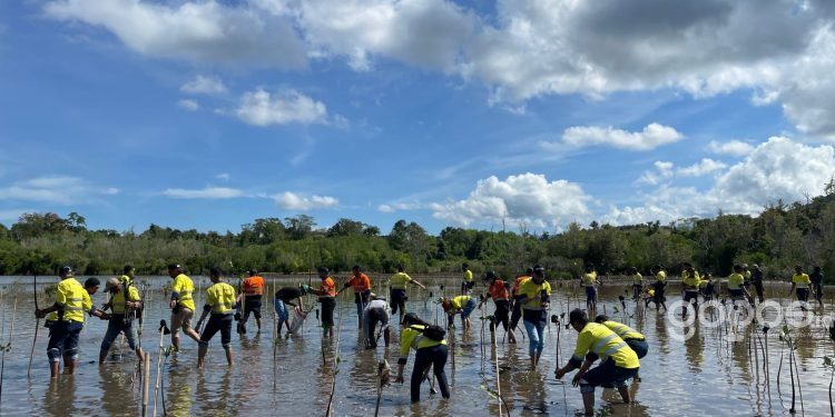 Kegiatan penanaman 500 bibit bakau di cagar alam Panua, Kabupaten Pohuwato, Minggu (4/6/2023).