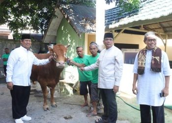 Kapolda Gorontalo Irjen Pol Angesta Romano Yoyol saat penyerahan hewan kurban.(F.Polda)