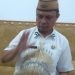 Sekretaris Daerah Kabupaten Gorontalo, Rony Sampir.