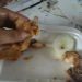 Salah satu netizen mengunggah sebuah vidio kekecewaannya terhadap makanan yang dibelinya.
