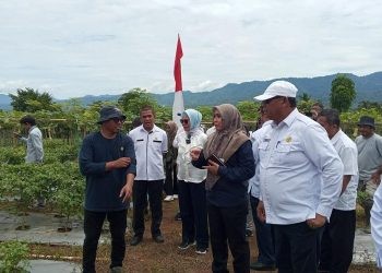 Tim Verifikasi Lapangan Anugerah Satya Lancana Wira Karya saat melakukan verifikasi lapangan di Kebun Cabe Al-Hidayah Kecamatan Suwawa Selatan, Rabu (5/4/2023). (Foto Fauzi/Magang Diskominfo)
