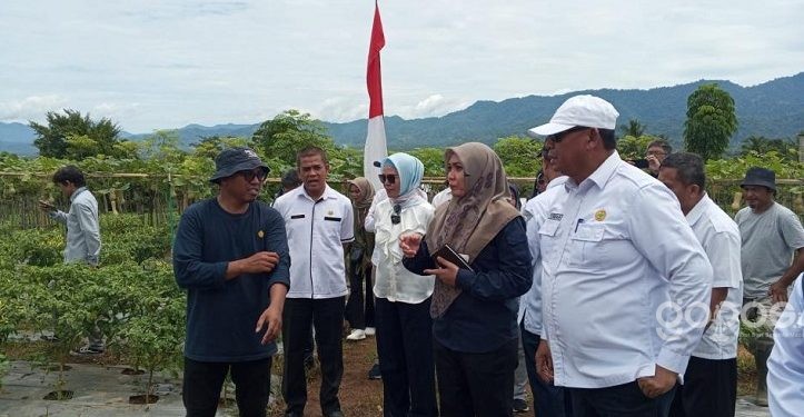 Tim Verifikasi Lapangan Anugerah Satya Lancana Wira Karya saat melakukan verifikasi lapangan di Kebun Cabe Al-Hidayah Kecamatan Suwawa Selatan, Rabu (5/4/2023). (Foto Fauzi/Magang Diskominfo)