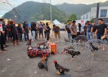 Dokumentasi 41 orang yang diamankan Polresta Gorontalo Kota pada Sabtu (17//6/2023).