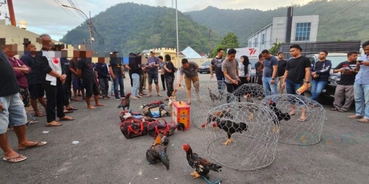 Dokumentasi 41 orang yang diamankan Polresta Gorontalo Kota pada Sabtu (17//6/2023).