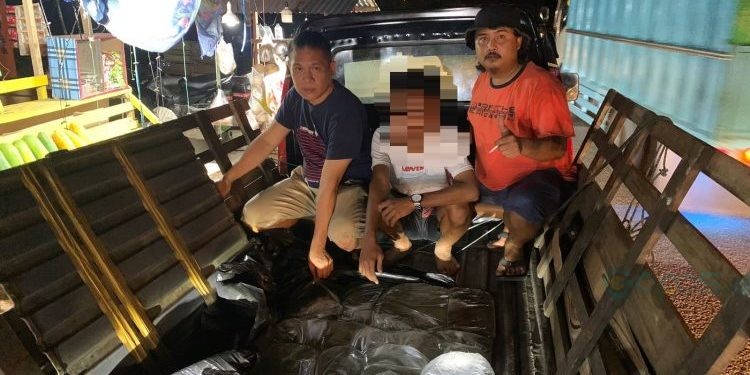 Pengemudi mobil pikap berinisial FD (tengah) tak bisa berkutik saat polisi membongkar penyeludupan cap tikus dari Sulut.(f.polres)