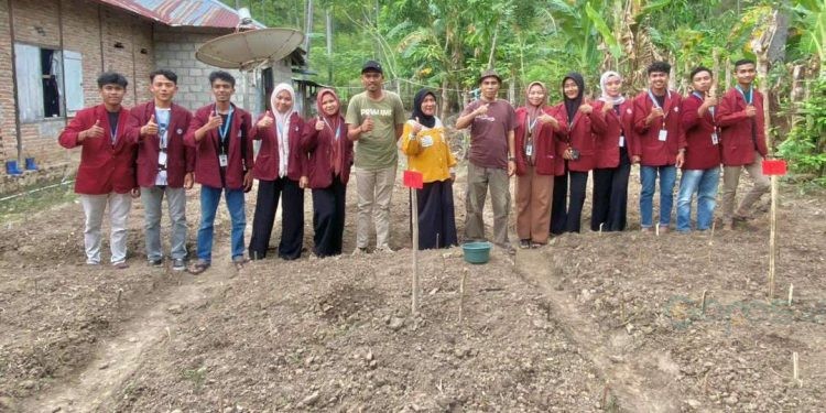 Kegiatan mahasiswa KKN UNG dalam rangka mengembangkan agrowisata berbasis tanaman pangan di Desa Molotabu, Kecamatan Kabila Bone, Kabupaten Bone Bolango, Provinsi Gorontalo.