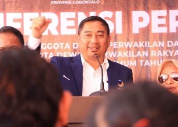 Calon Anggota Legislatif DPR RI Partai NasDem Dapil Sulut, Hamim Pou