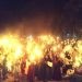 Kemeriahan pawai obor di Pohuwato dalam rangka menyambut tahun baru 1 Muharram 1445 H.(Yusuf/gopos)