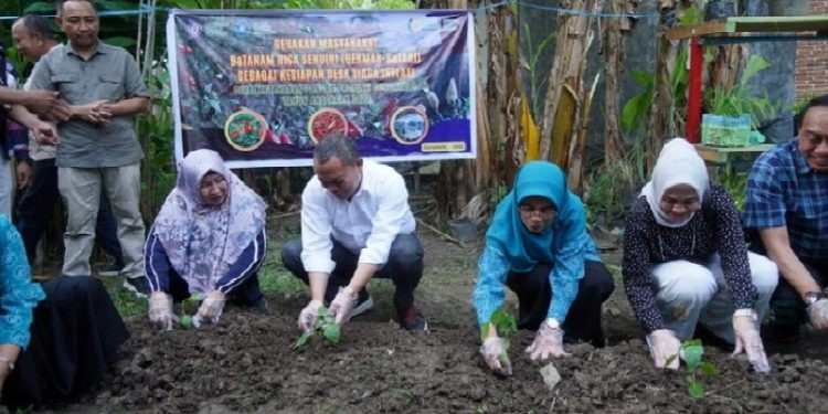 Penjagub Gorontalo Ismail Pakaya bersama Ketua TP-PKK Provinsi Gorontalo Fima Agustina, saat melakukan penanaman cabe pada pencanangan desa inflasi, yang dilaksanakan di Desa Tolotio, Kecamatan Tibawa, Kabupaten Gorontalo, Sabtu, (1/7/2023). Foto – Valen