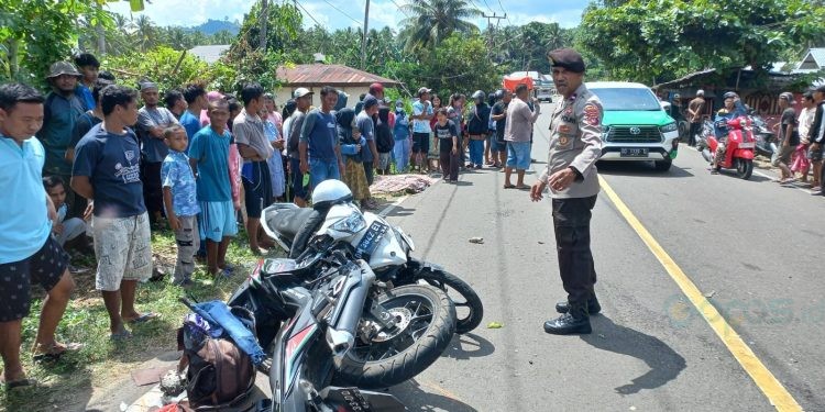 Kecelakaan maut yang terjadi di jalan Trans Sulawesi Kecamatan Randangan, Kabupaten Pohuwato, Gorontalo, Minggu (23/7/2023).