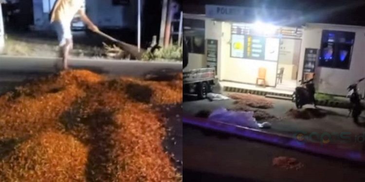 Potongan video viral rica asal Gorontalo tujuan Manado yang dihamburkan diduga oleh oknum polisi Polsek Bolangitang.