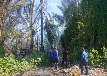 Petugas Damkar saat memadamkan api yang membakar lahan di dekat pemukiman warga di Kelurahan Dulomo Selatan, Kecamatan Kota Utara, Kota Gorontalo, Rabu (9/8/2023). (F. Putra/gopos)