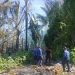 Petugas Damkar saat memadamkan api yang membakar lahan di dekat pemukiman warga di Kelurahan Dulomo Selatan, Kecamatan Kota Utara, Kota Gorontalo, Rabu (9/8/2023). (F. Putra/gopos)