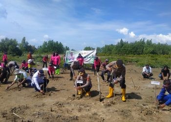 Polres Pohuwato bersama stakeholder terkait menanam 1.000 bibit pohon mangrove di kawasan pesisir pantai Desa Bulili, Kecamatan Duhiadaa, Pohuwato, Rabu (23/8/2023). (Yusuf/Gopos)