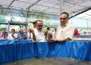 Dewan Komisaris dan Direksi Pertamina Patra Niaga Kunjungi Program CSR Sekolah Anak Percaya Diri, Agro Tagitoga dan Tenun Fenisa di Makassar