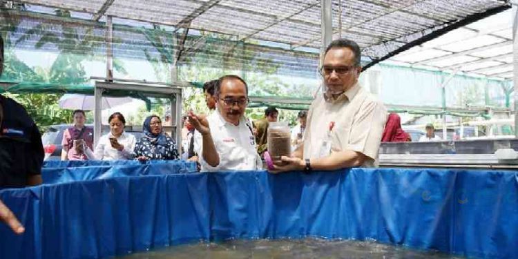 Dewan Komisaris dan Direksi Pertamina Patra Niaga Kunjungi Program CSR Sekolah Anak Percaya Diri, Agro Tagitoga dan Tenun Fenisa di Makassar
