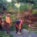 Sejumlah pohon tumbang di Kota Gorontalo terjadi pada hari ini, Kamis (14/9/2023).