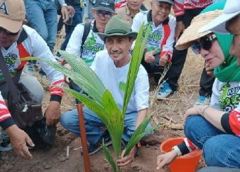 Bupati Bupati Gorontalo, Nelson Pomalingo saat melaksanakan penanaman kelapa, Ahad (24/09/2023).