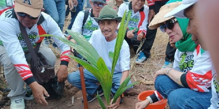 Bupati Bupati Gorontalo, Nelson Pomalingo saat melaksanakan penanaman kelapa, Ahad (24/09/2023).