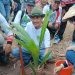 Bupati Bupati Gorontalo, Nelson Pomalingo saat melaksanakan penanaman kelapa, Ahad (24/09/2023).