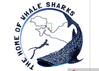 Logo pengelolaan wisata hiu paus (Rhincodon typus) yang diluncurkan Balai Besar Taman Nasional Teluk Cenderawasih (BBTNTC) di Manokwari, Papua Barat, 23 April 2020 sebagi ilustrasi TNTC sebagai rumah bagi hiu paus. FOTO ANTARA/HO-ksdae.menlhk.go.id