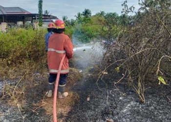 Petugas Pemadam Kebakaran Kabupaten Gorontalo melakukan pemadaman pada kebakaran lahan di wilayah Limboto, Kabupaten Gorontalo.