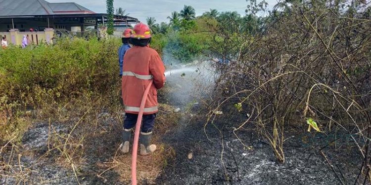 Petugas Pemadam Kebakaran Kabupaten Gorontalo melakukan pemadaman pada kebakaran lahan di wilayah Limboto, Kabupaten Gorontalo.