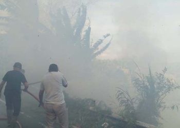 Petugas Pemadam kebakaran Pohuwato melakukan pemadaman pada lahan yang mengalami kebakaran di Kecamatan Patilanggio, Pohuwato, Ahad (3/9/2023)