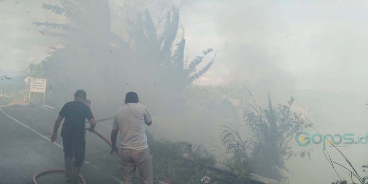 Petugas Pemadam kebakaran Pohuwato melakukan pemadaman pada lahan yang mengalami kebakaran di Kecamatan Patilanggio, Pohuwato, Ahad (3/9/2023)